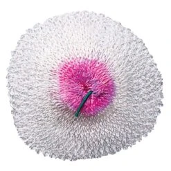 Companion Replacement Mantles