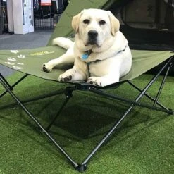 Large Dog Bed -Hiking And Camping 0030670 large dog bed