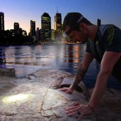 145 Lumen Head Torch -Hiking And Camping 0032664 145 lumen head torch