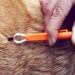 Tick Remover II With Clip 14 Tick Remover II With Clip -Hiking And Camping 0034518 tick remover ii with clip