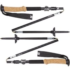 Black Diamond Alpine FLZ Trekking Poles -Hiking And Camping 0039364 alpine flz trekking poles