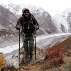 Black Diamond Alpine FLZ Trekking Poles -Hiking And Camping 0039367 alpine flz trekking poles