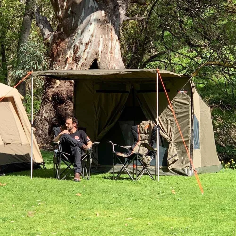 King Goanna Chair 16 King Goanna Chair - Image 14