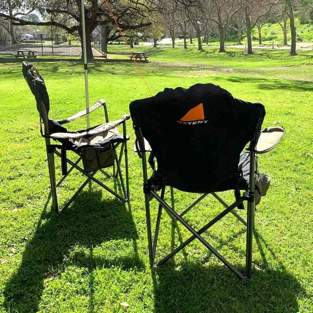 King Goanna Chair 14 King Goanna Chair - Image 12