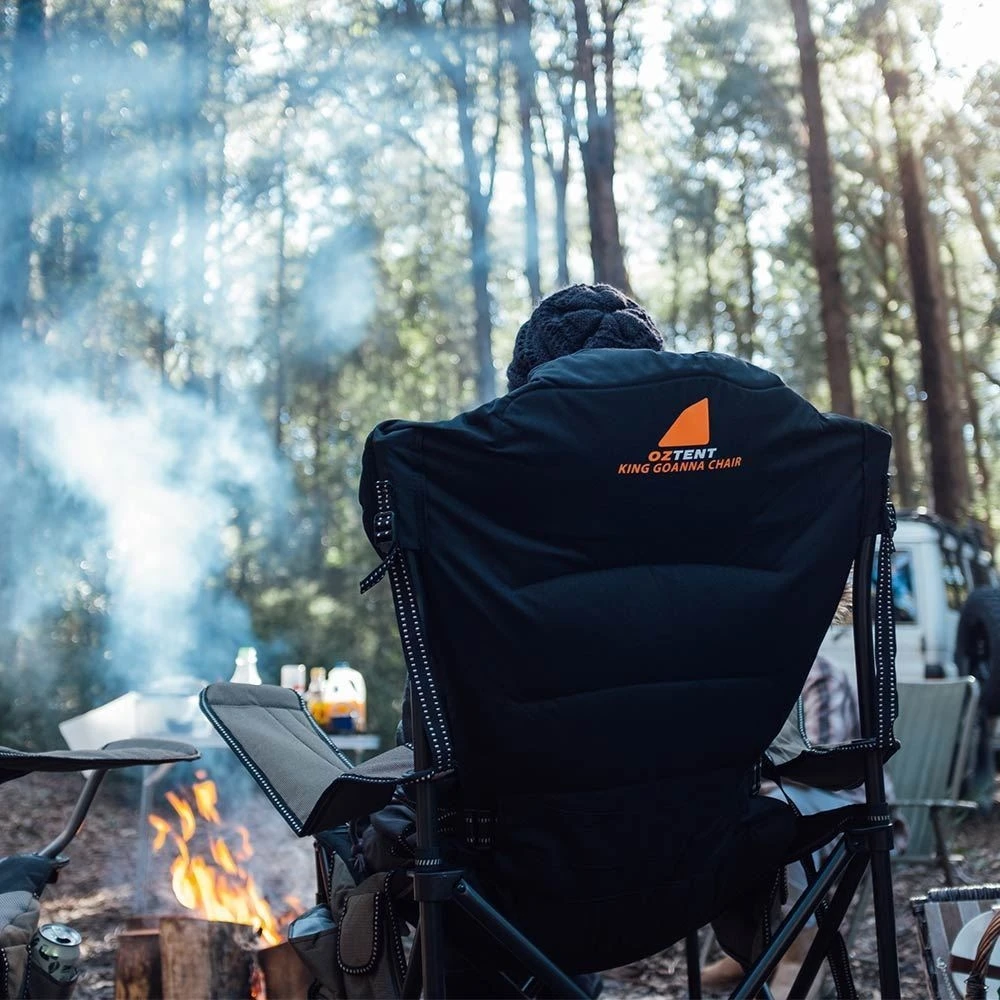 King Goanna Chair 17 King Goanna Chair - Image 15