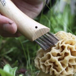 Opinel N°08 Mushroom Knife -Hiking And Camping 1223601 mushroom knife no08 stainless steel 8cm individual box