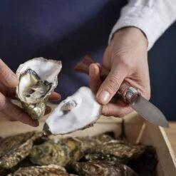 Opinel N°09 Oyster Knife -Hiking And Camping 1223606 oysters and shellfish knife no09 stainless steel 65cm