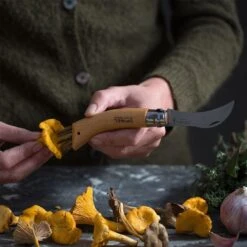 Opinel N°08 Mushroom Knife -Hiking And Camping 1223753 n08 mushroom knife