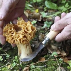 Opinel N°08 Mushroom Knife -Hiking And Camping 1223754 n08 mushroom knife