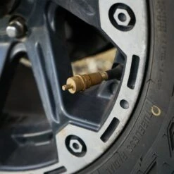 Standard (6−30psi) 4 Pack -Hiking And Camping 1226360 standard 6 30psi 4 pack