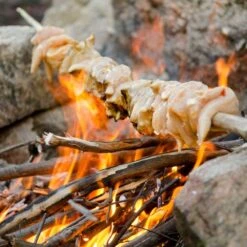 Fire To Fork Adventure Cooking − Harry Fisher -Hiking And Camping 1226950 fire to fork adventure cooking harry fisher