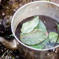 Fire To Fork Adventure Cooking − Harry Fisher -Hiking And Camping 1226951 fire to fork adventure cooking harry fisher