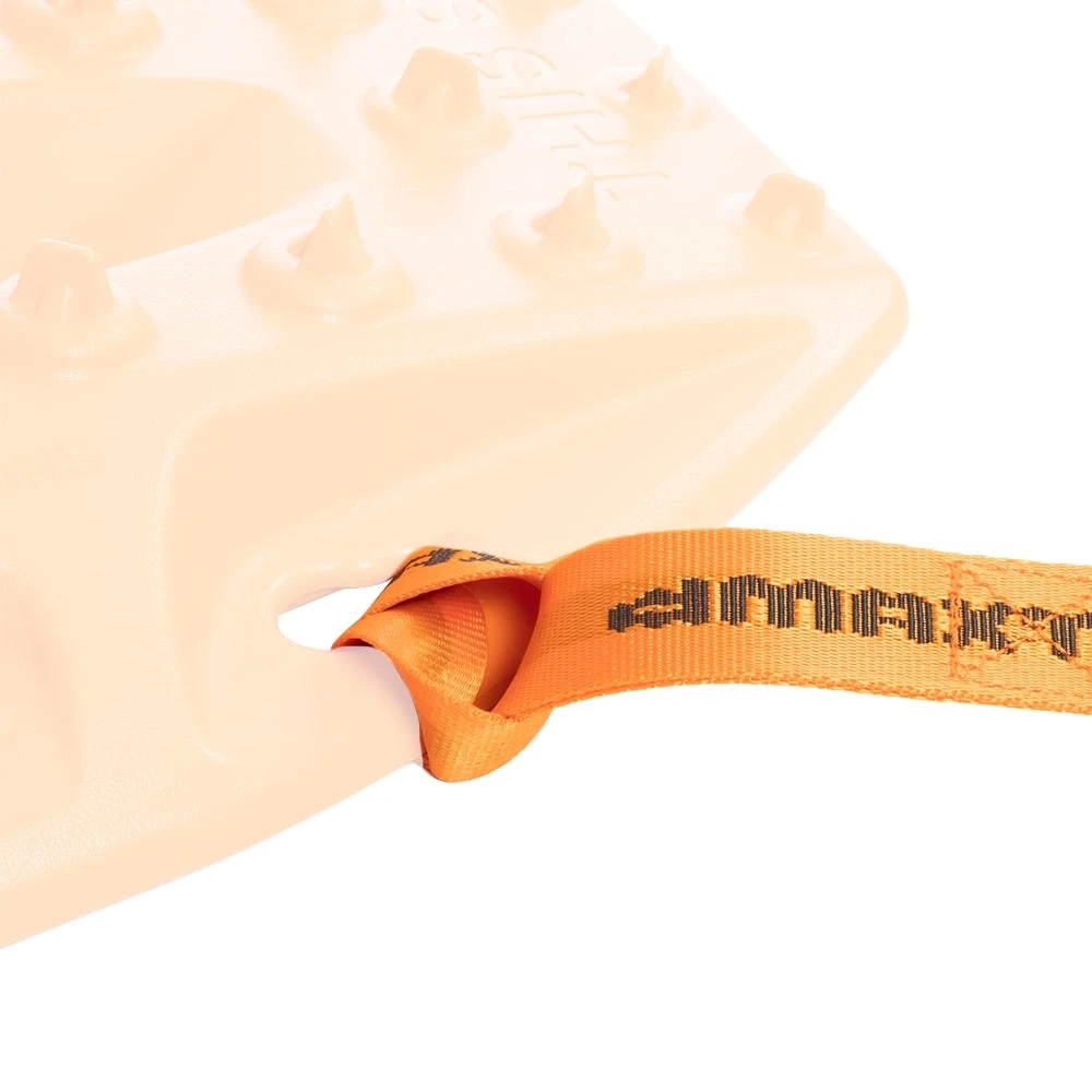 Telltale Leashes 4 Telltale Leashes - Image 2