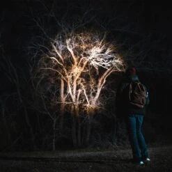 NEBO Franklin Slide 500 Rechargeable Flashlight And Work Light 25 NEBO Franklin Slide 500 Rechargeable Flashlight And Work Light -Hiking And Camping 1230643 franklin slide 500 rechargeable flashlight and work light