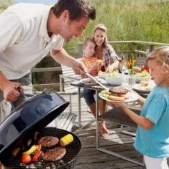 Bushman Insect Repellent Aerosol -Hiking And Camping 1256269 insect repellent aerosol