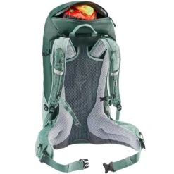 Deuter Futura 24 SL Hiking Backpack -Hiking And Camping 1258481 futura 24 sl backpack forest jade