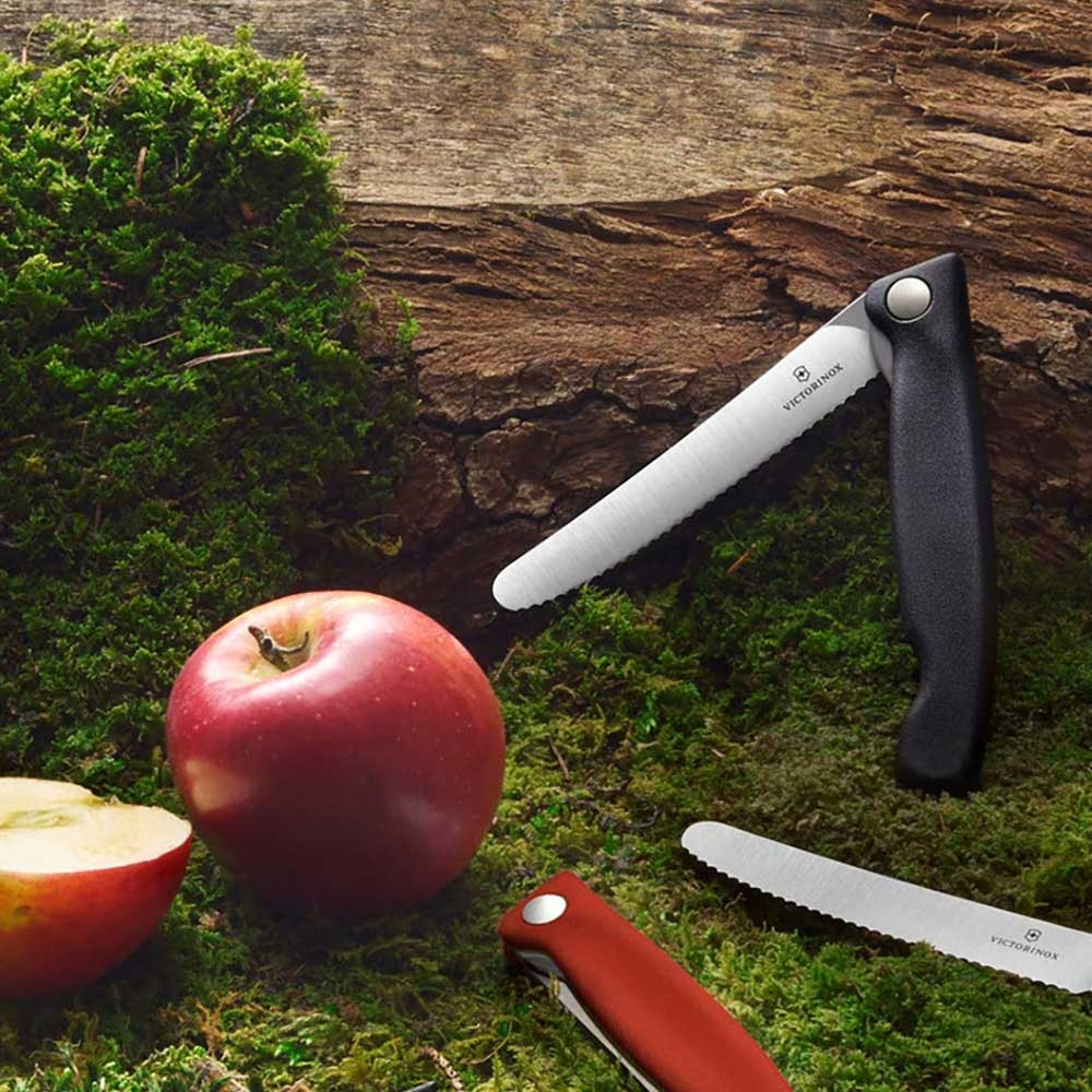 Victorinox Swiss Classic Foldable Paring Knife 10 Victorinox Swiss Classic Foldable Paring Knife - Image 8