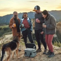 Dometic Thermo Wine Tumbler 300ml -Hiking And Camping 1262637 thermo wine tumbler 300ml lagune